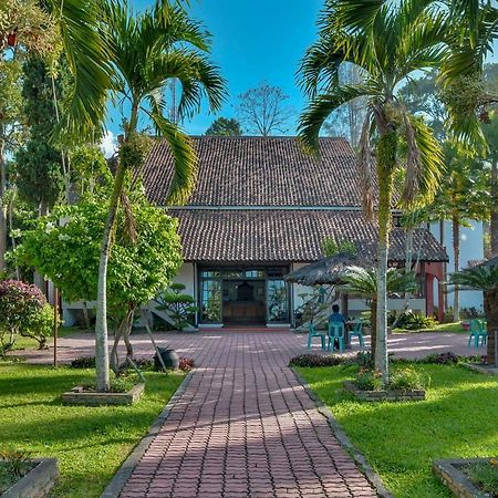 Silintong Hotel Ambarita Exterior foto
